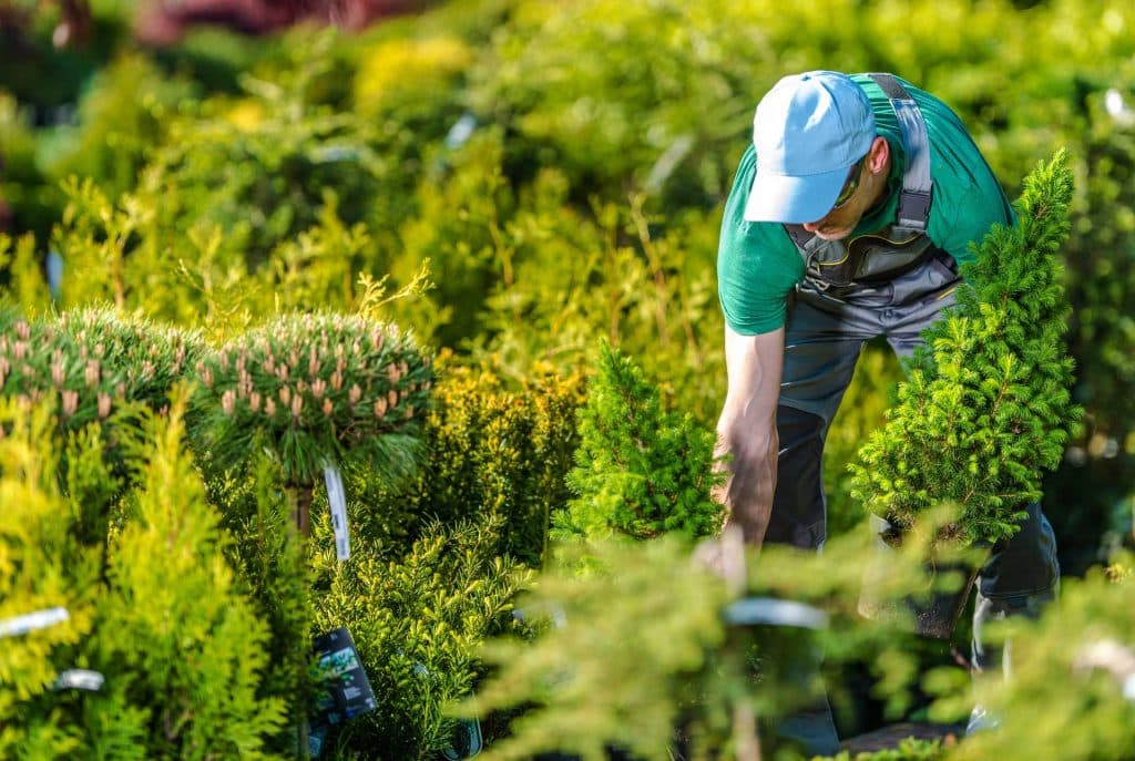 gardener-buying-new-plants