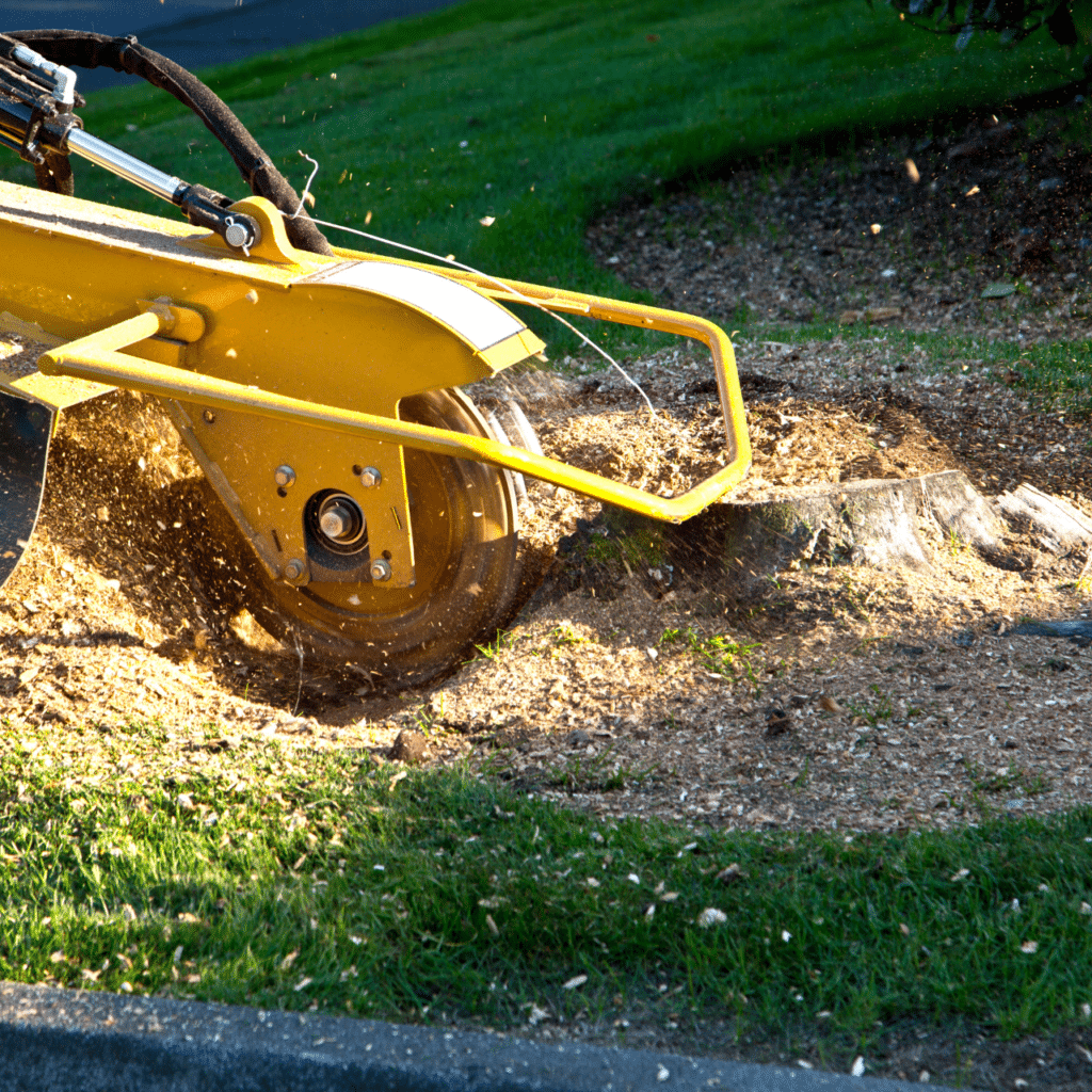 Stump Removal Grinding Elion Tree Service Oklahoma