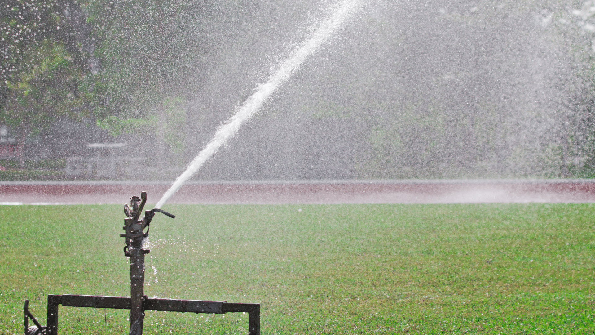 Maintenance Over Watering System Grass Elion Landscaping Tree Service