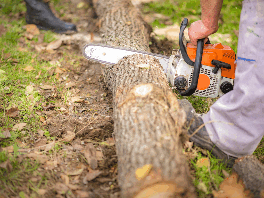 Oklahoma Tree Removal Elion Landscaping Tree Service Chainsaw