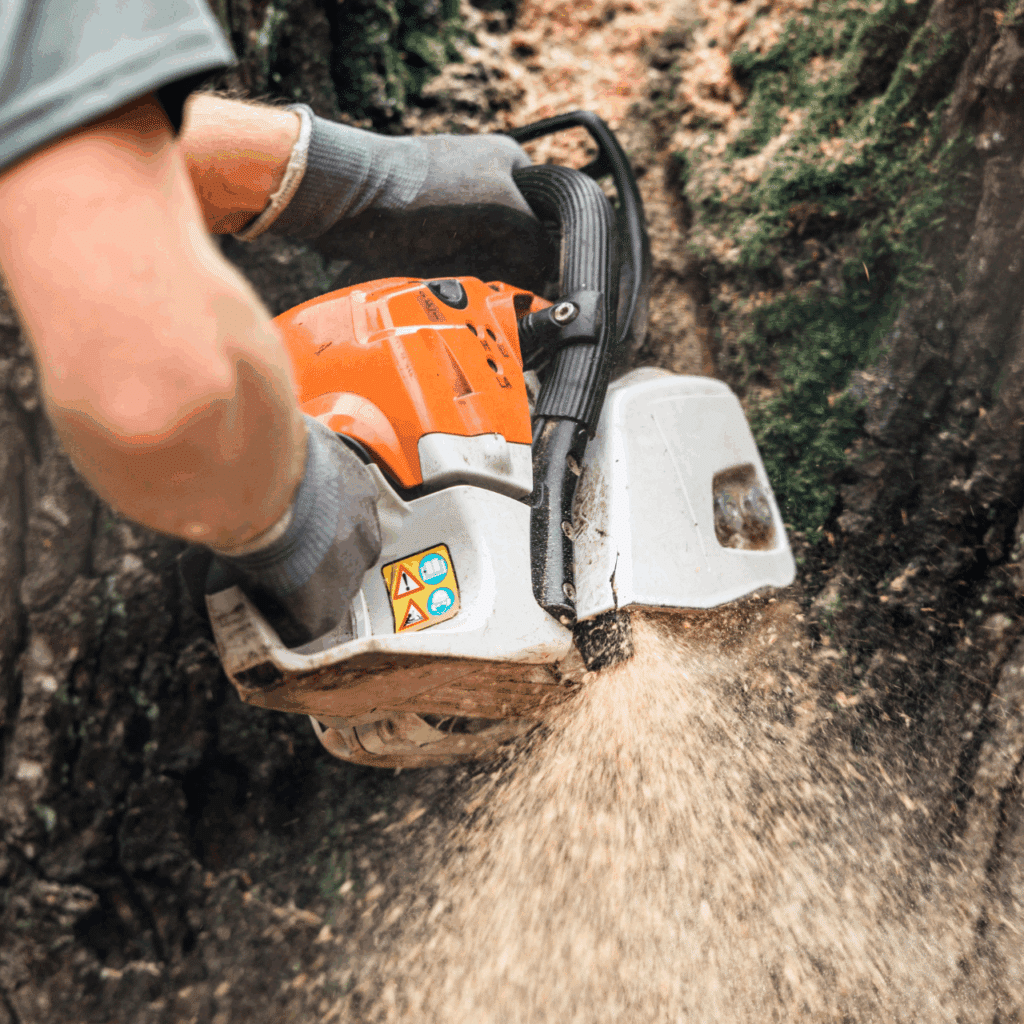 Oklahoma Tree Removal Elion Landscaping Tree Service Chainsaw Equipment