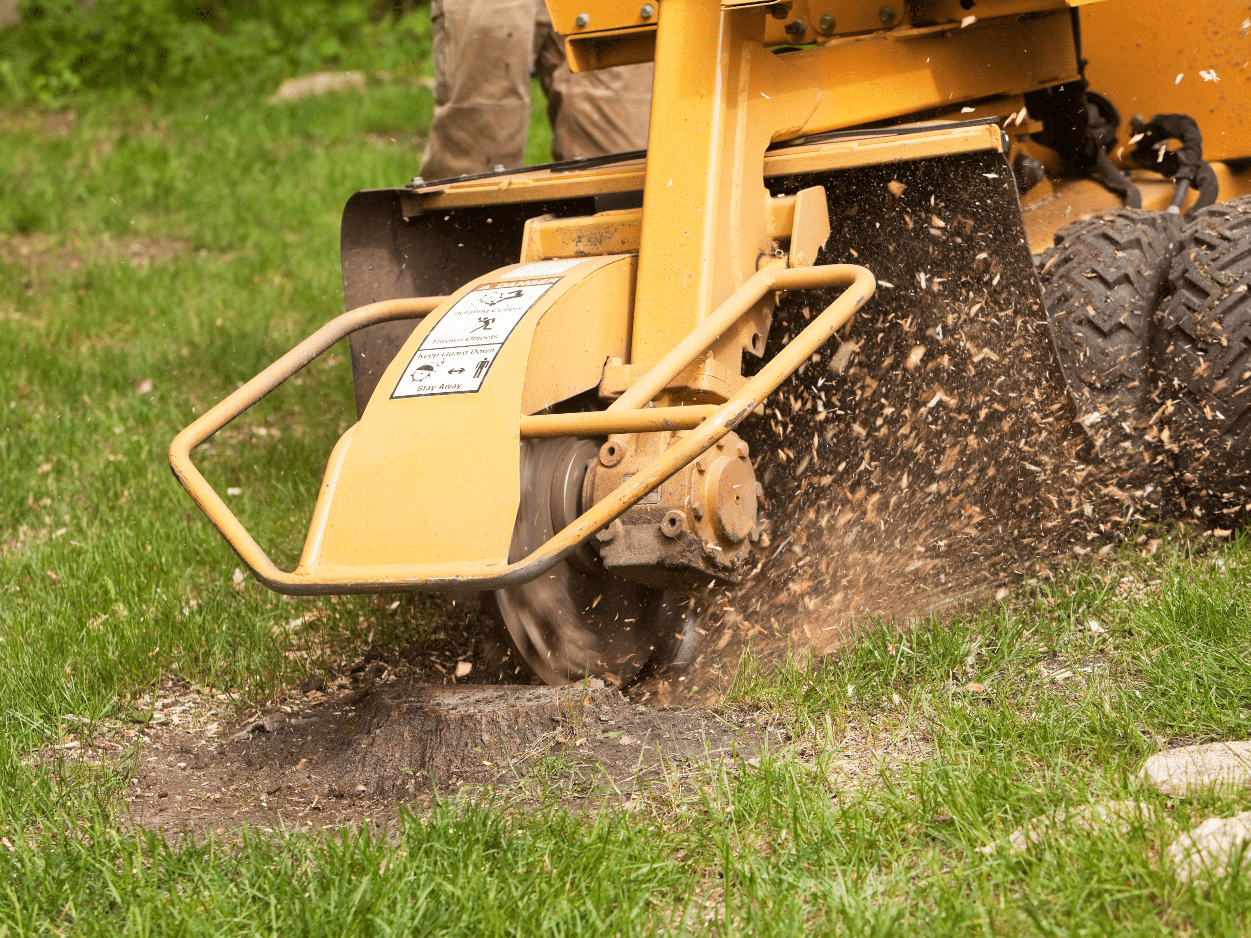 Oklahoma Tree Removal Elion Landscaping Tree Service Stump
