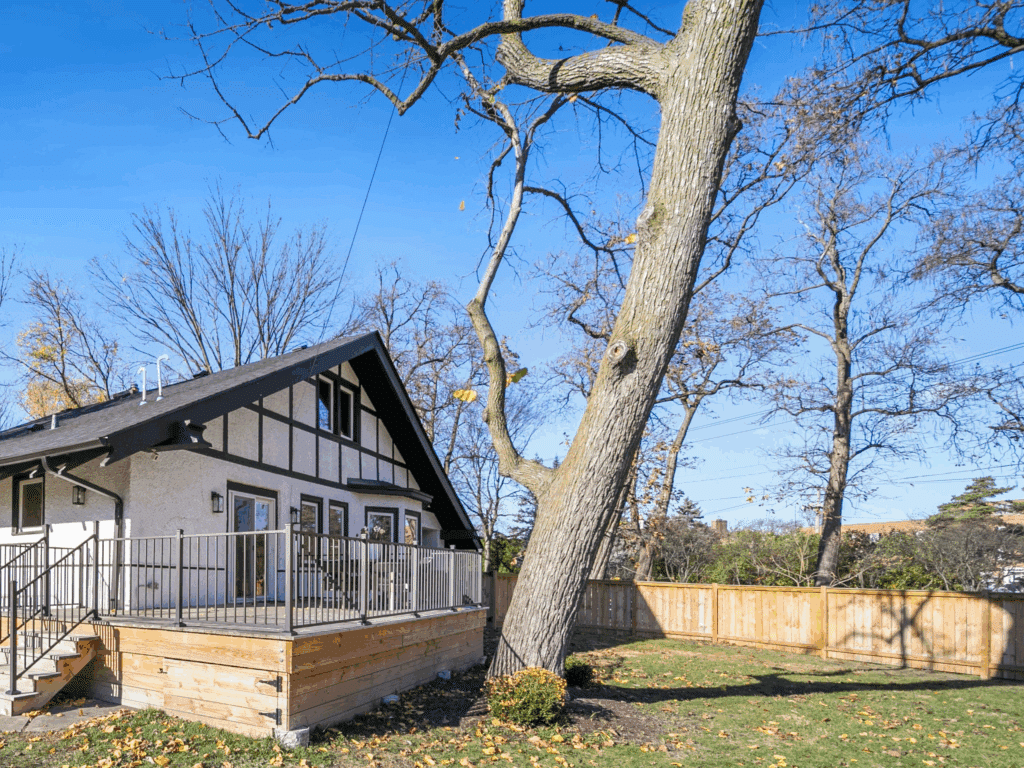 overgrown extended branches Elion Landscaping Tree Service