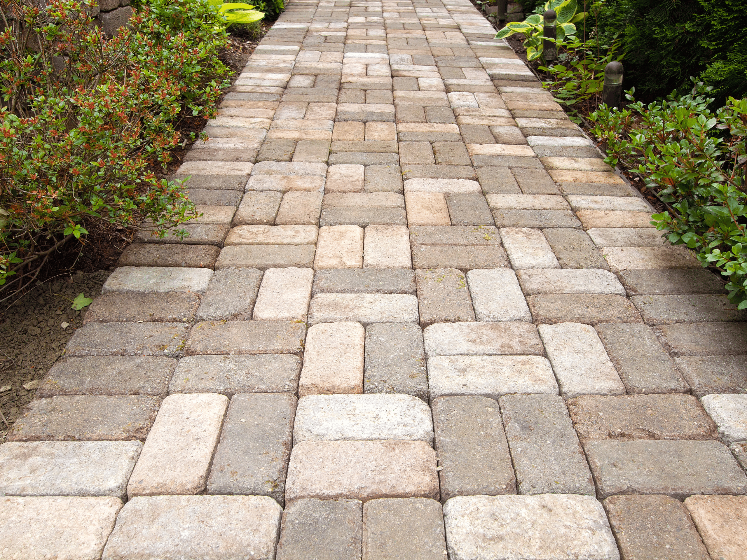 Walkway Sidewalk Paver Stone Brick Install Elion Landscaping Experts