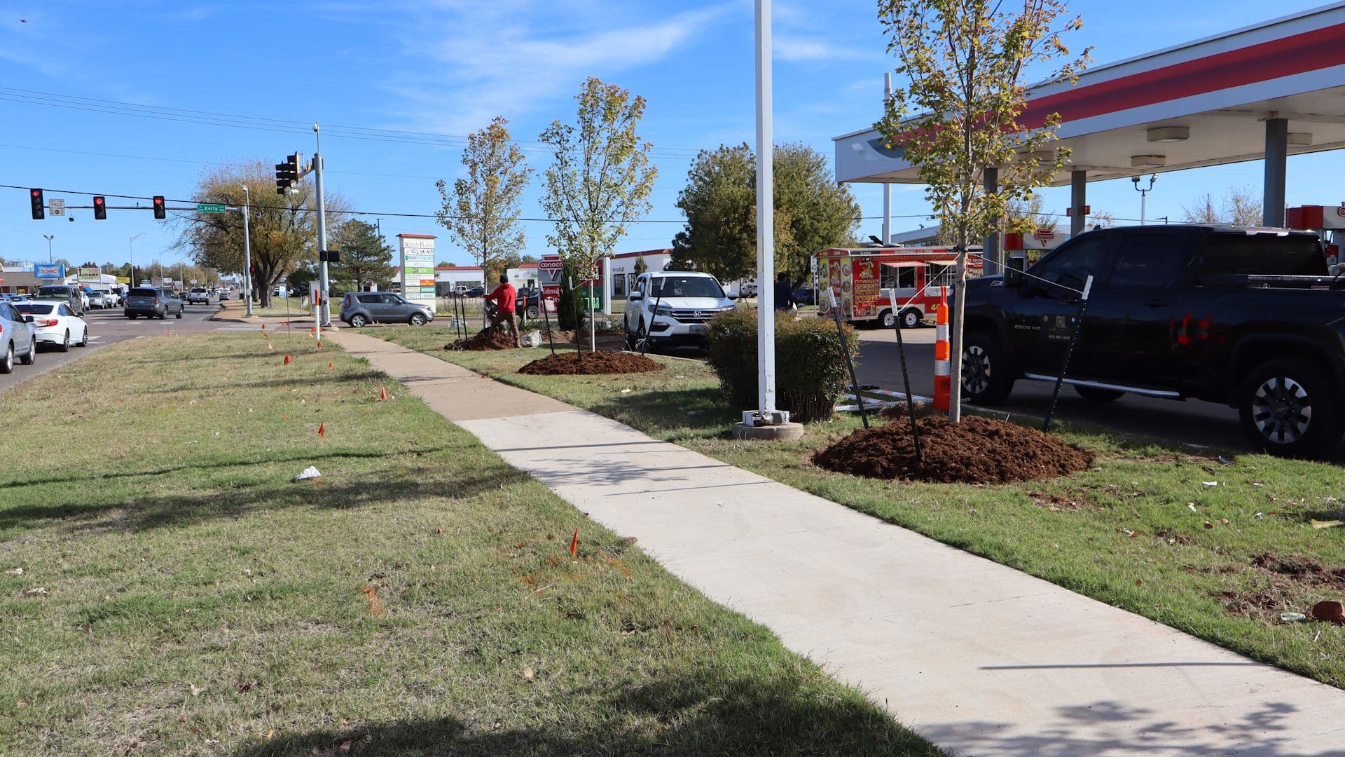 Elion Landscaping and Tree Service Commercial Tree Planting