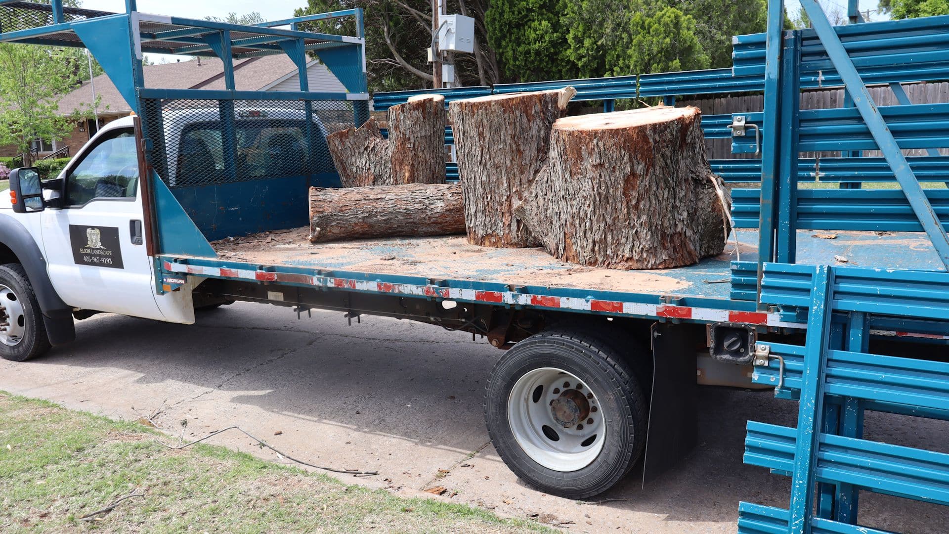 Elion Landscaping and Tree Service Tree Removal and Cleanup