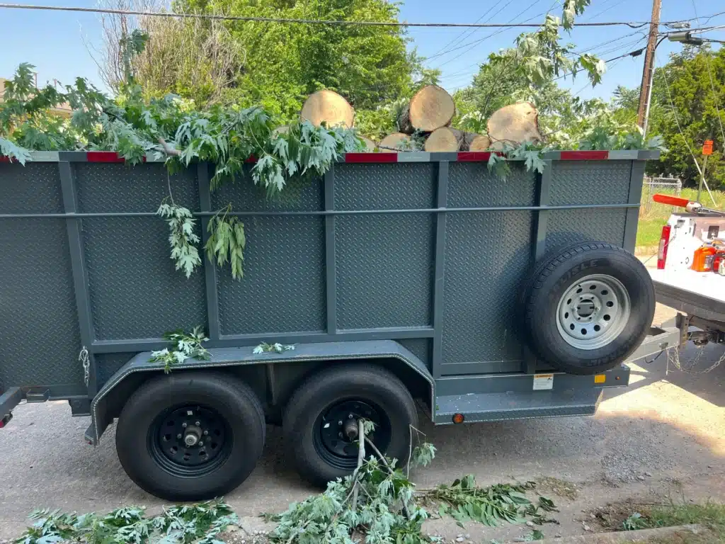 Clean Up and Removal Tree Services - Oklahoma - Elion Landscaping & Tree Service