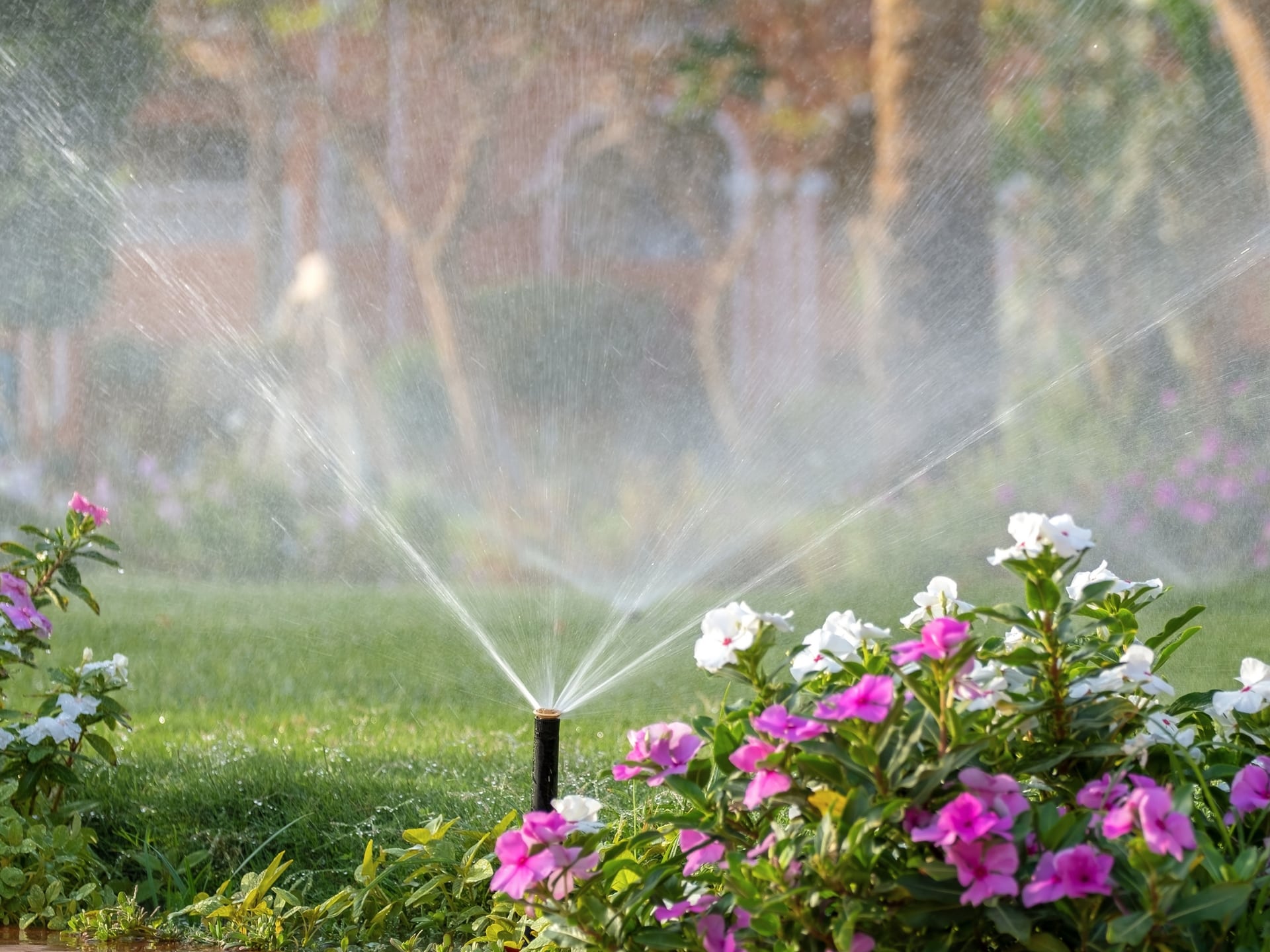 Healthier Plants & Trees Irrigation Services - Oklahoma - Elion Landscaping & Tree Service