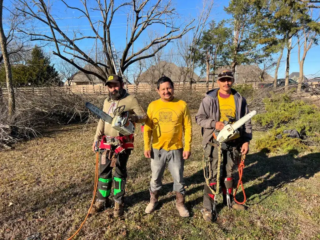 Our Expert Crew and Tree Services - Oklahoma - Elion Landscaping & Tree Service