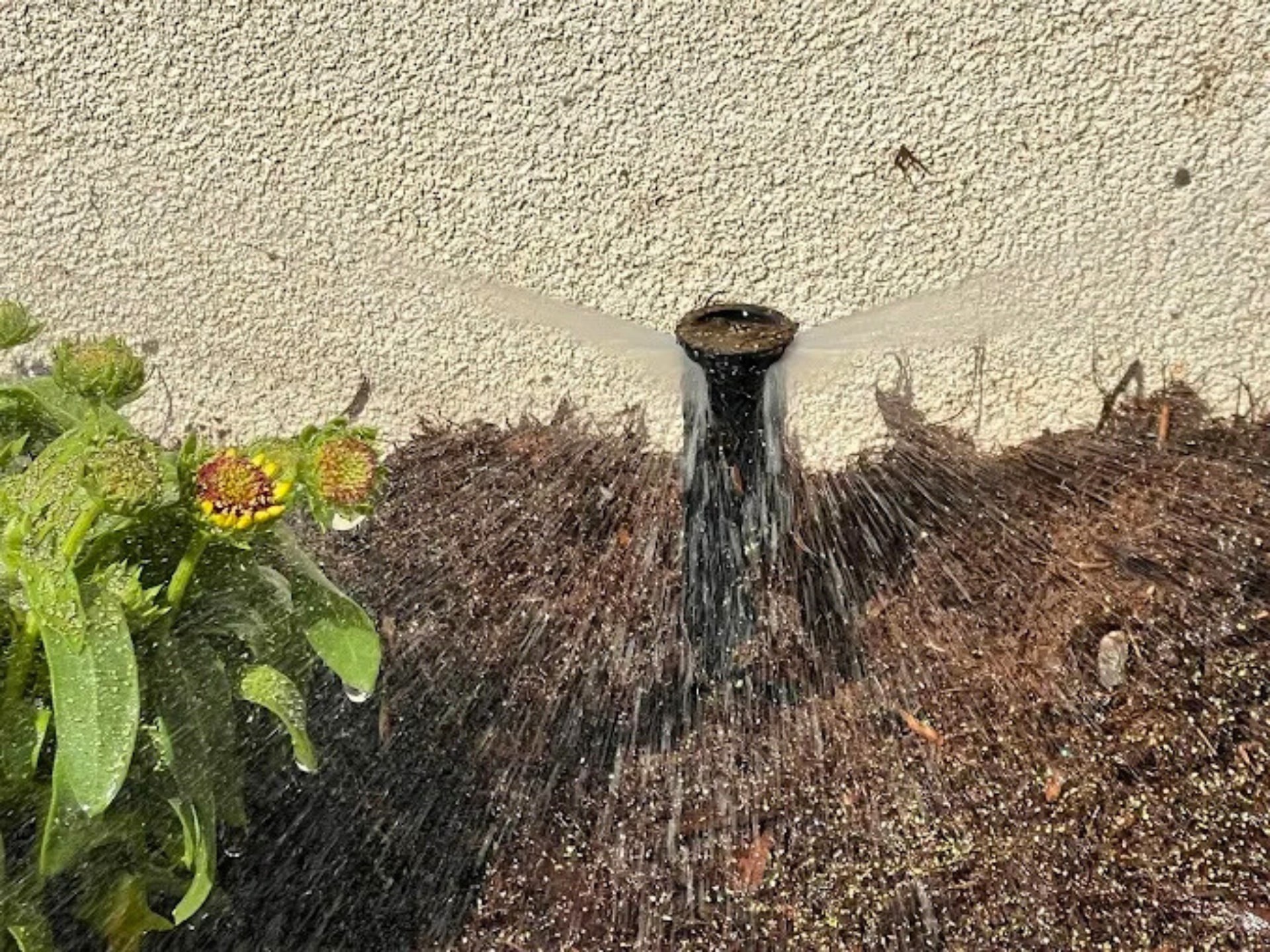 Reduce Water Bills - Irrigation Services - Oklahoma - Elion Landscaping & Tree Service