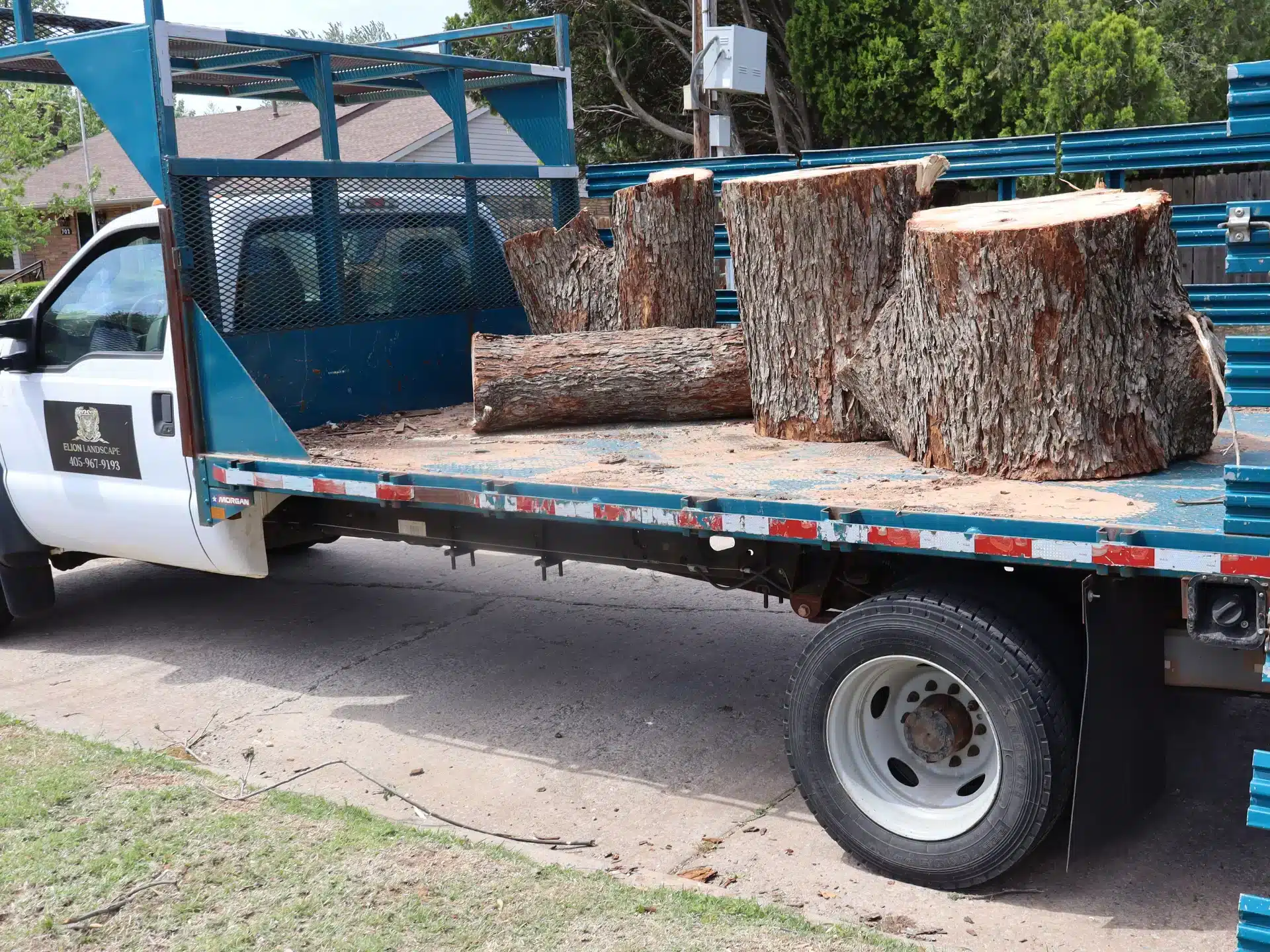 Premium-Tree-Removal-Services-Oklahoma-Elion-Landscaping-Tree-Service.jpg