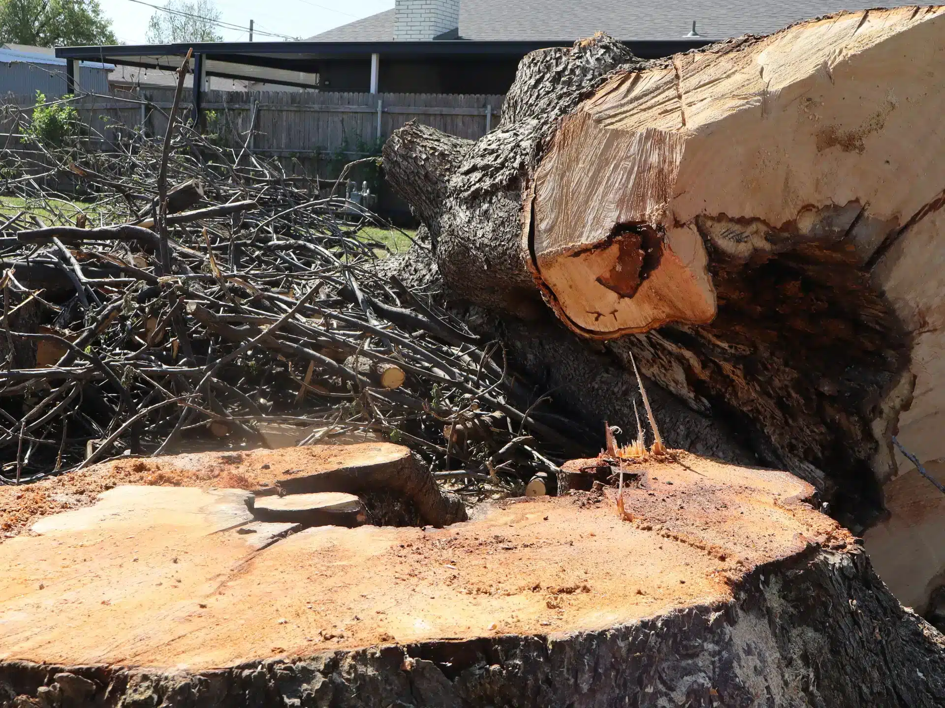 Stump-and-Tree-Removal-Services-Oklahoma-Elion-Landscaping-Tree-Service.jpg