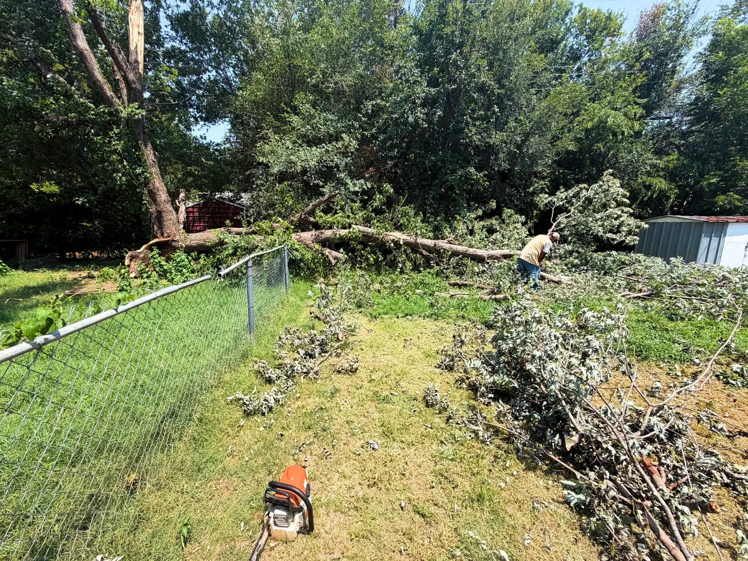 Local Expert Emergency Tree Removal Clean Up Project Elion Landscaping Tree Service Oklahoma