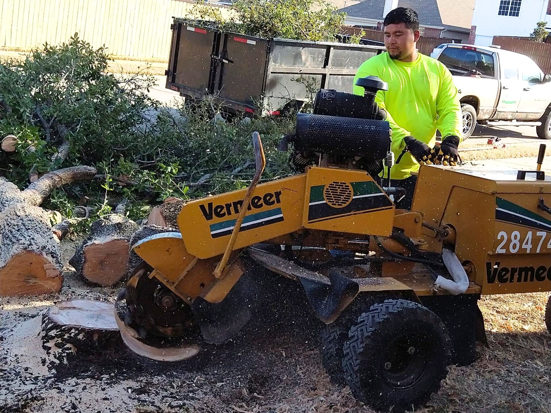 Local Professional Tree Stump Grinding and Removal Project Oklahoma Elion Landscaping & Tree Service