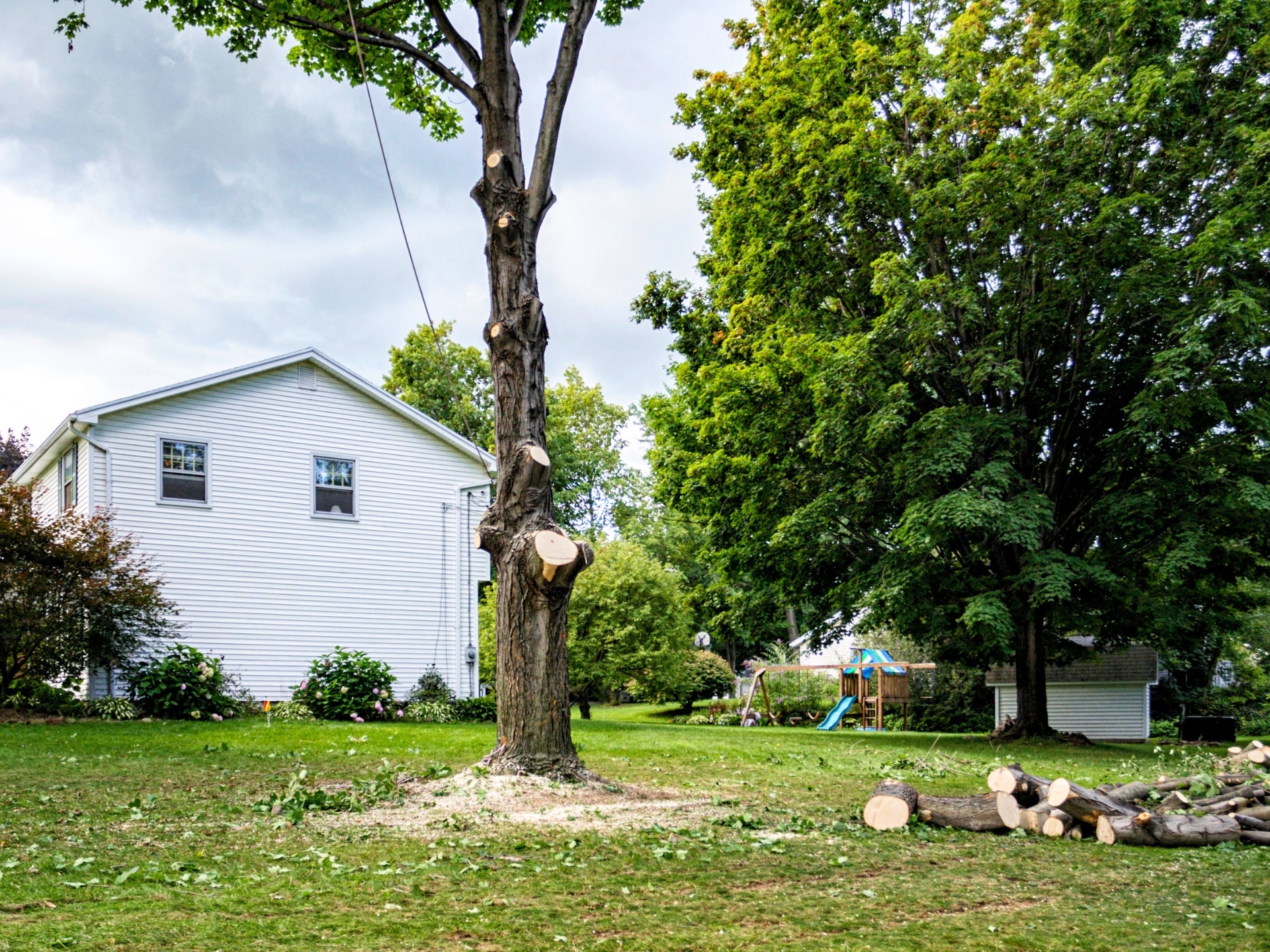Local Residential Tree Experts - Oklahoma - Elion Landscaping & Tree Service