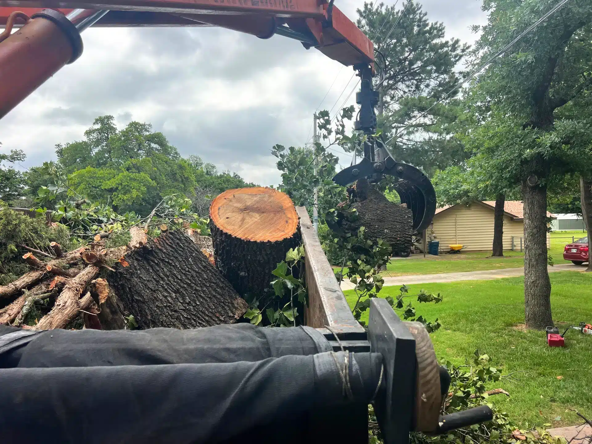Tree Removal Services Professional Equipment Safety Elion Landscaping Tree Service Oklahoma