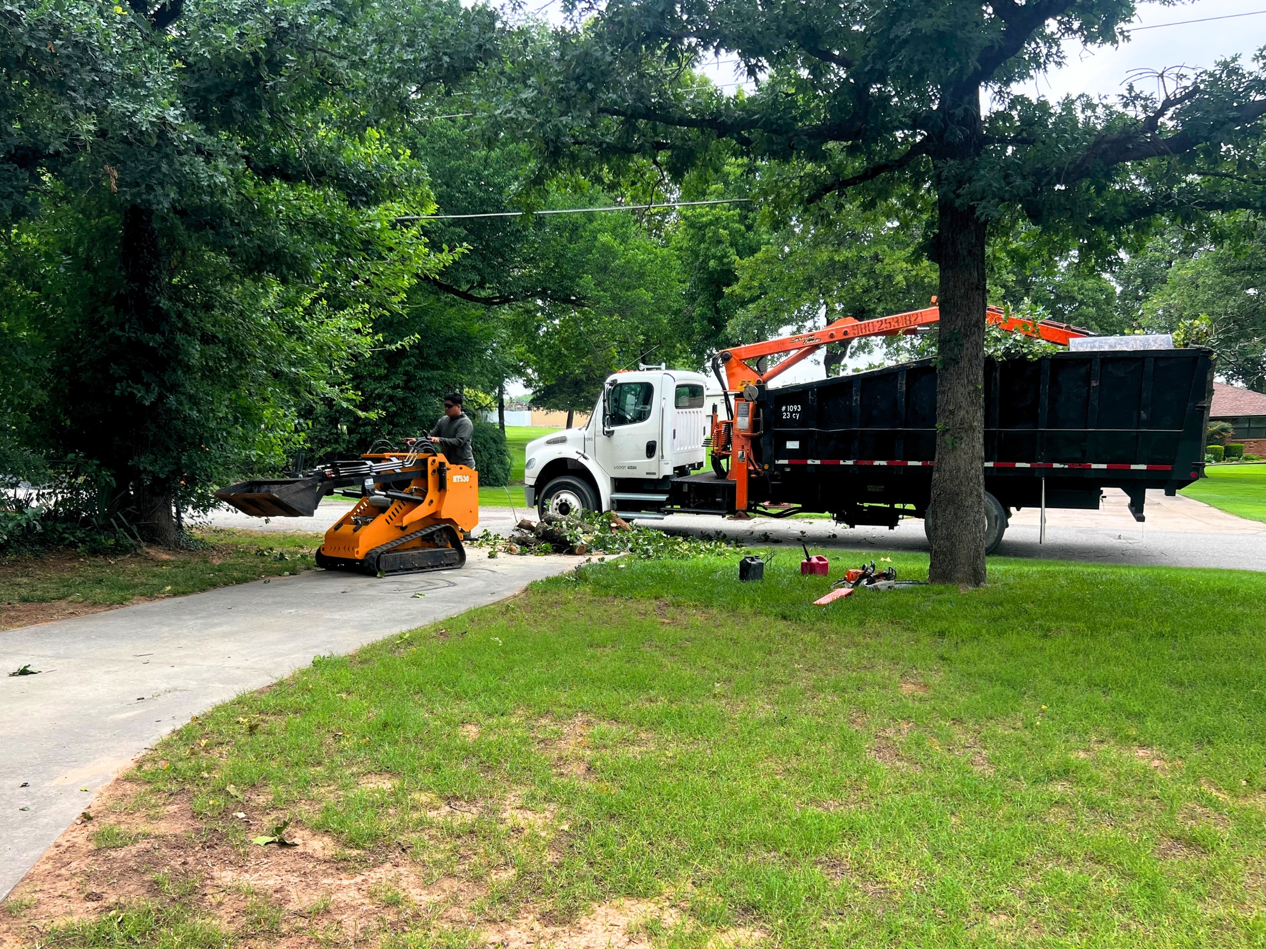 Tree Trimming Clean Up Elion Landscaping Tree Service Oklahoma