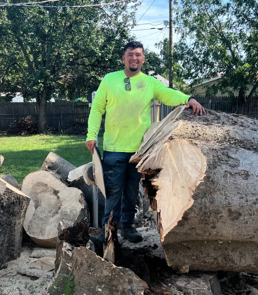 Local Tree Care Specialists - Tree Removal Services - Oklahoma - Elion Landscaping & Tree Service