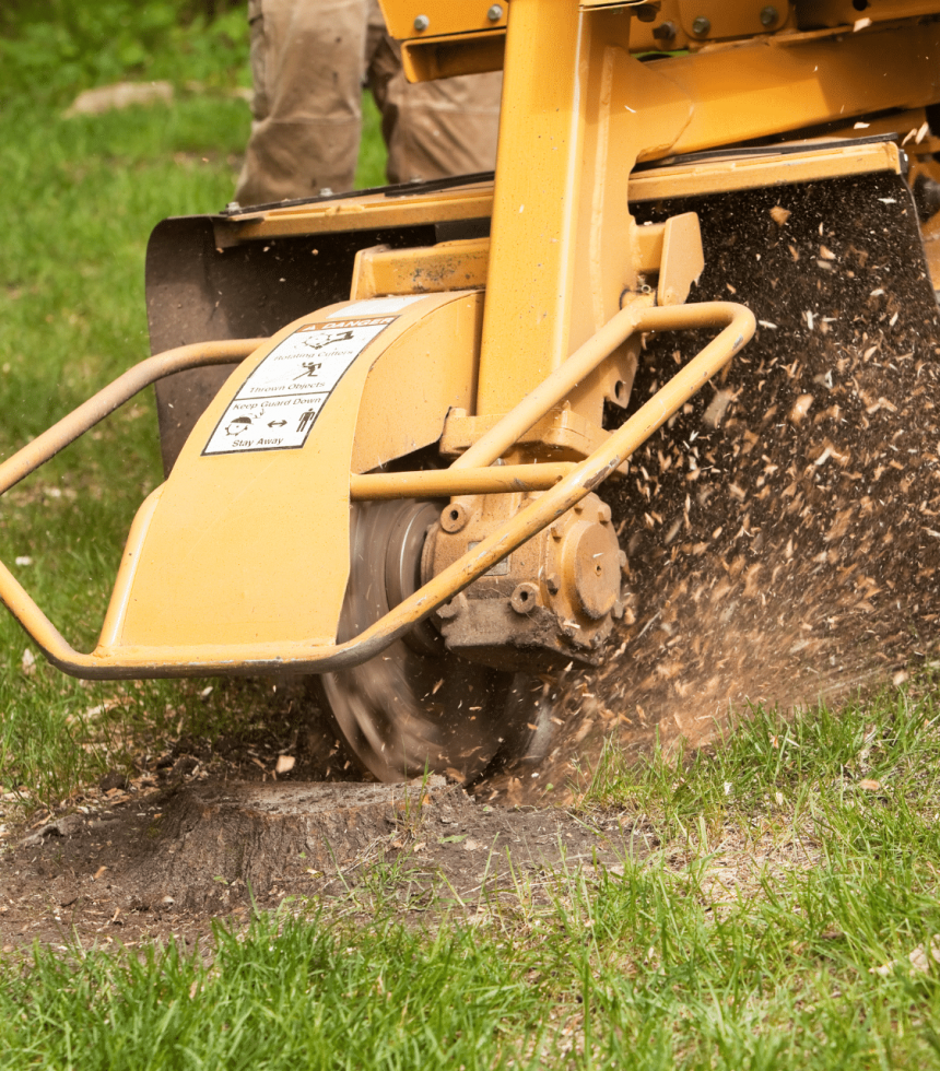Oklahoma Tree Removal Elion Landscaping Tree Service Stump Removal