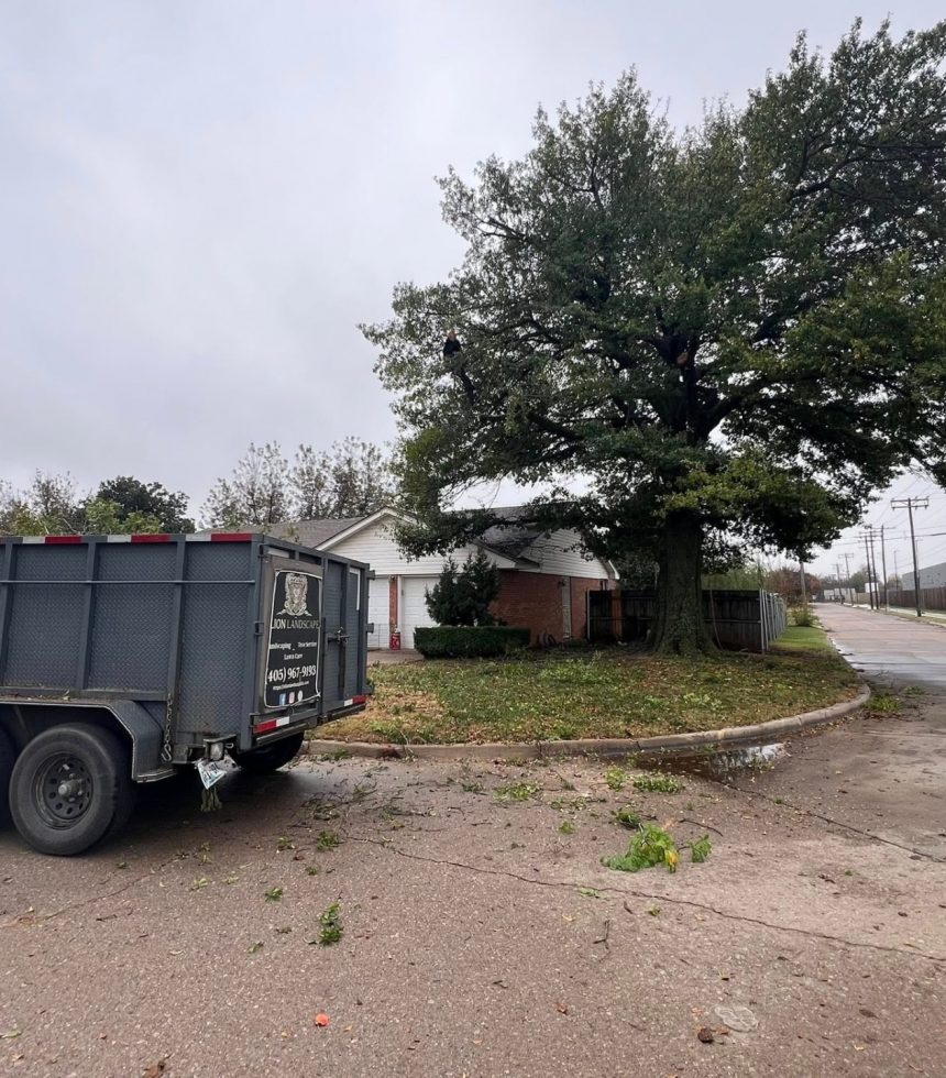 Residential Tree Services - Oklahoma - Elion Landscaping & Tree Service