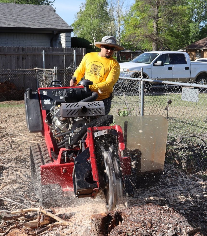 Stump Grinding and Tree Removal Services - Oklahoma - Elion Landscaping & Tree Service